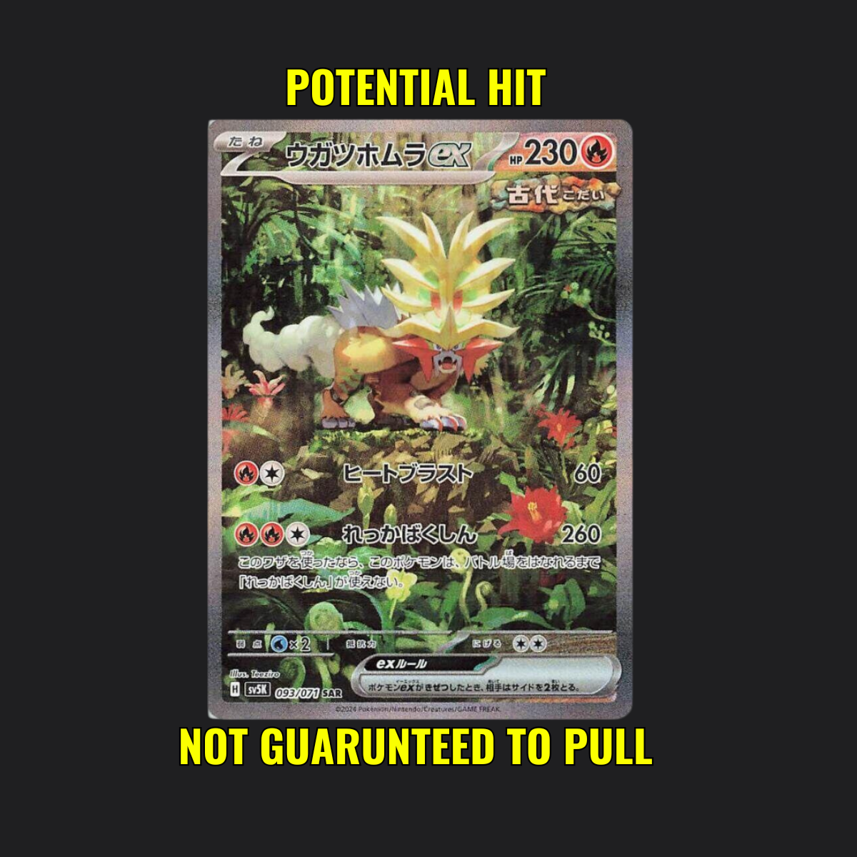 Wild Force - Pokémon Booster Box Japanese